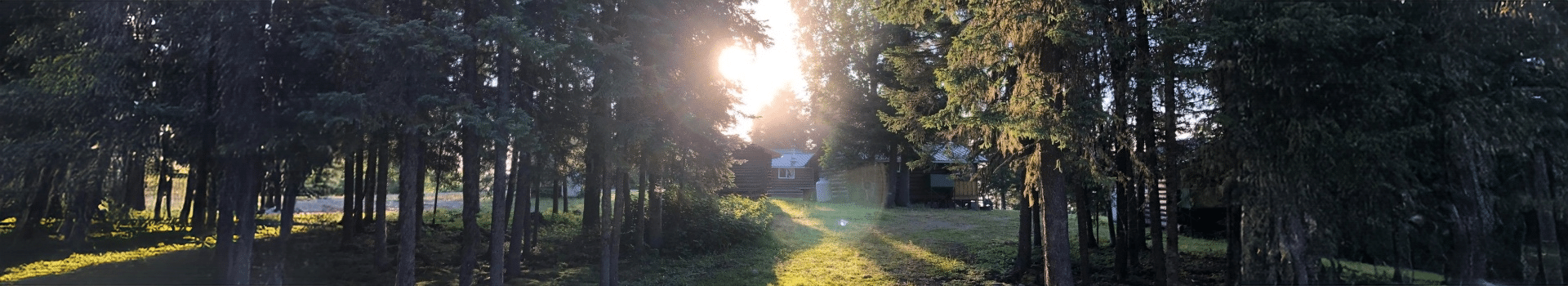 Pourvoirie Mistawak - Services et informations